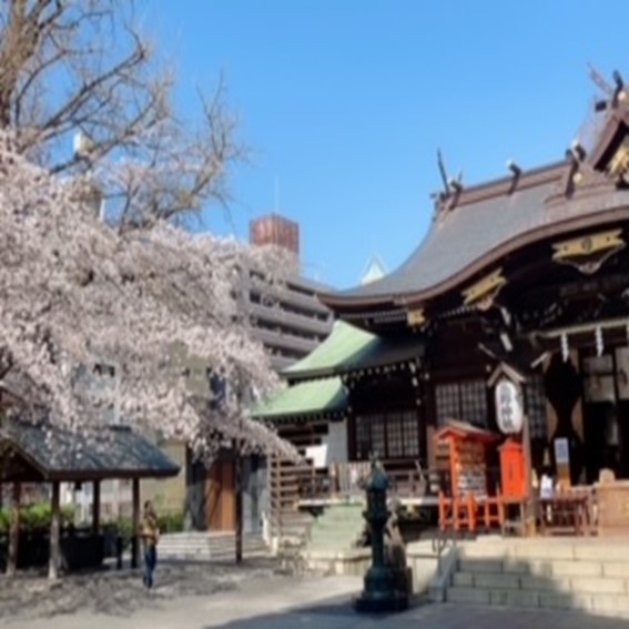 テクノトリオ  お花見散歩編V2 熊野神社と新宿中央公園の桜